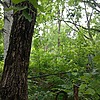 Васильев Платон Кириллович