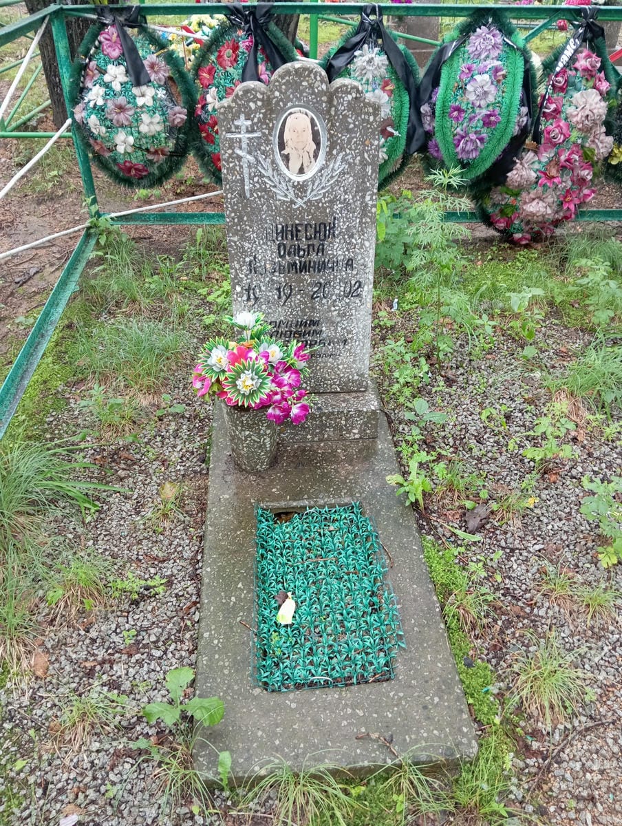 fe38a0a2-e0d7-4004-8f85-22d97c1ea180 Динеськ Ольга Кузьминична