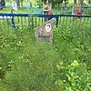 Крамарчук Мария Андреевна