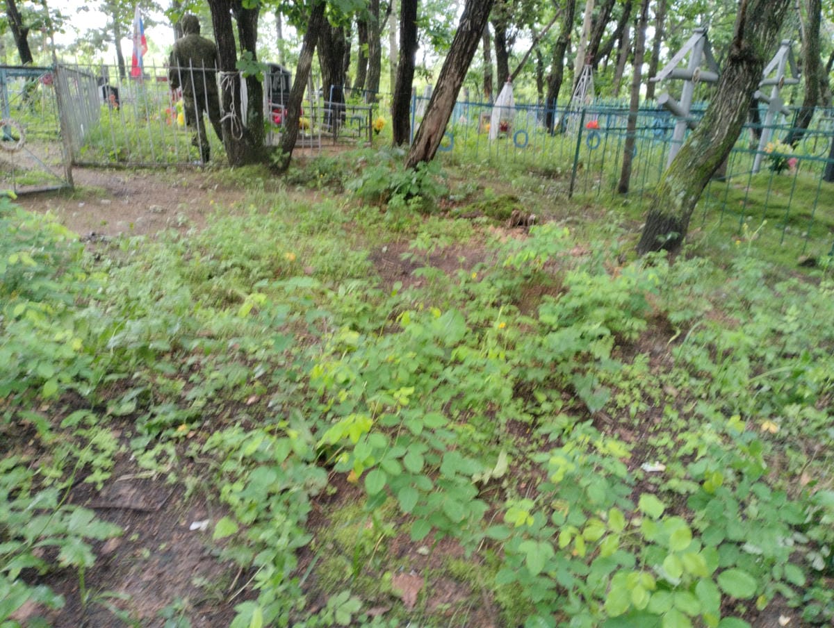 fed123cf-b78c-4bb9-a8ef-d020833b3058 Неизвестно Неизвестно Неизвестно