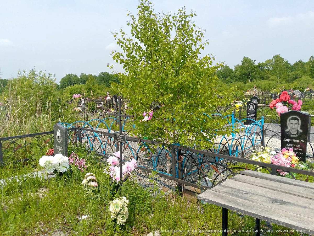 01349bfd-0cf5-4a5b-b598-d6a4a545dfb3 Замураева Любовь Ивановна