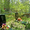 Васецкий Дмитрий Всеволодович