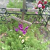Пирковский Кузьма Акимович