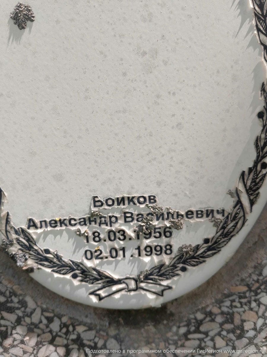 019330ec-aa1e-4d2a-8a08-6e26716cca3e Бойков Александр Васильевич