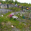 Пушкарева Наталия Васильевна
