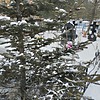 Коваленко Валентина Матвеевна