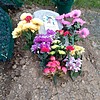 Шевцова Людмила Сергеевна