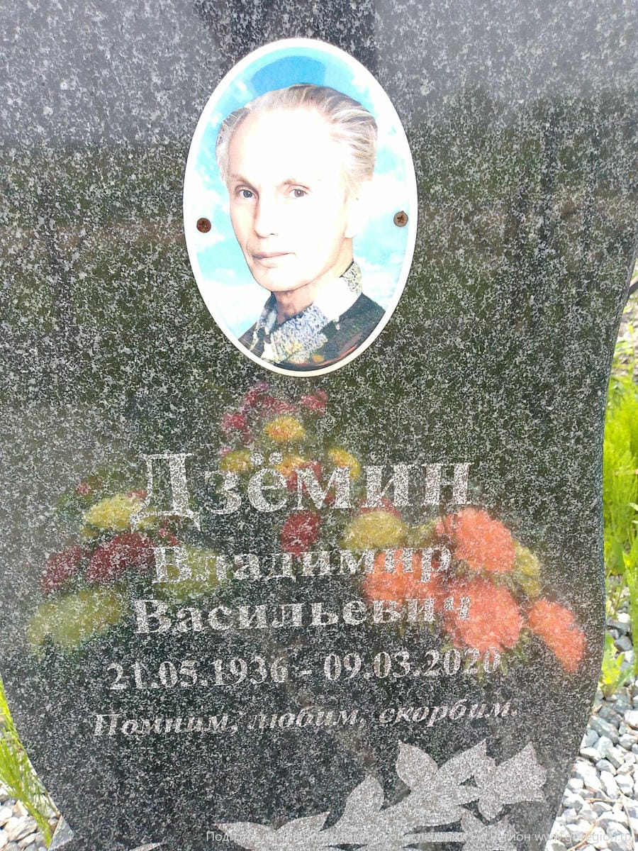 022da9ef-60b7-4ee0-8929-2d92f6f29d29 Дзёмин Владимир Васильевич