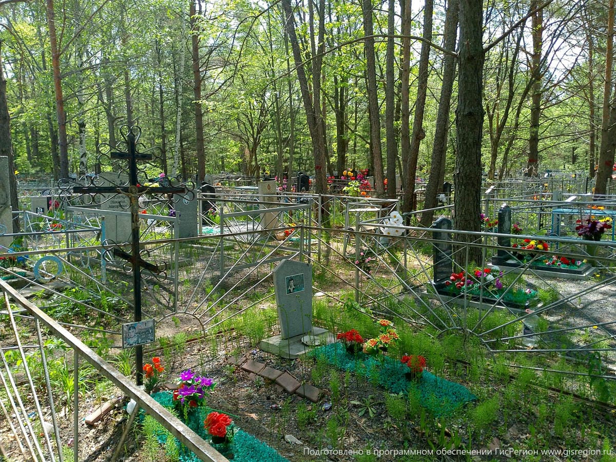 025b8227-16d9-4b63-9493-ac45b20b0165 Горностальский Александр Александрович