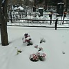 Девятова Валентина Пимовна