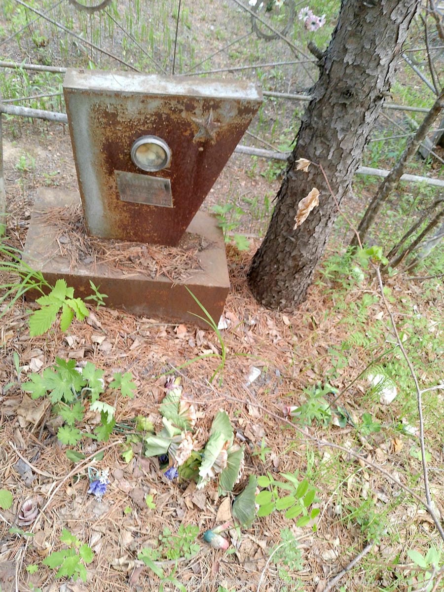 Долгая Анастасия Алексеевна