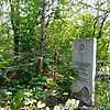 Аникина Нина Михайловна