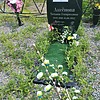 Аксёнова Татьяна Генириховна