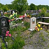 Бабенко Светлана Николаевна