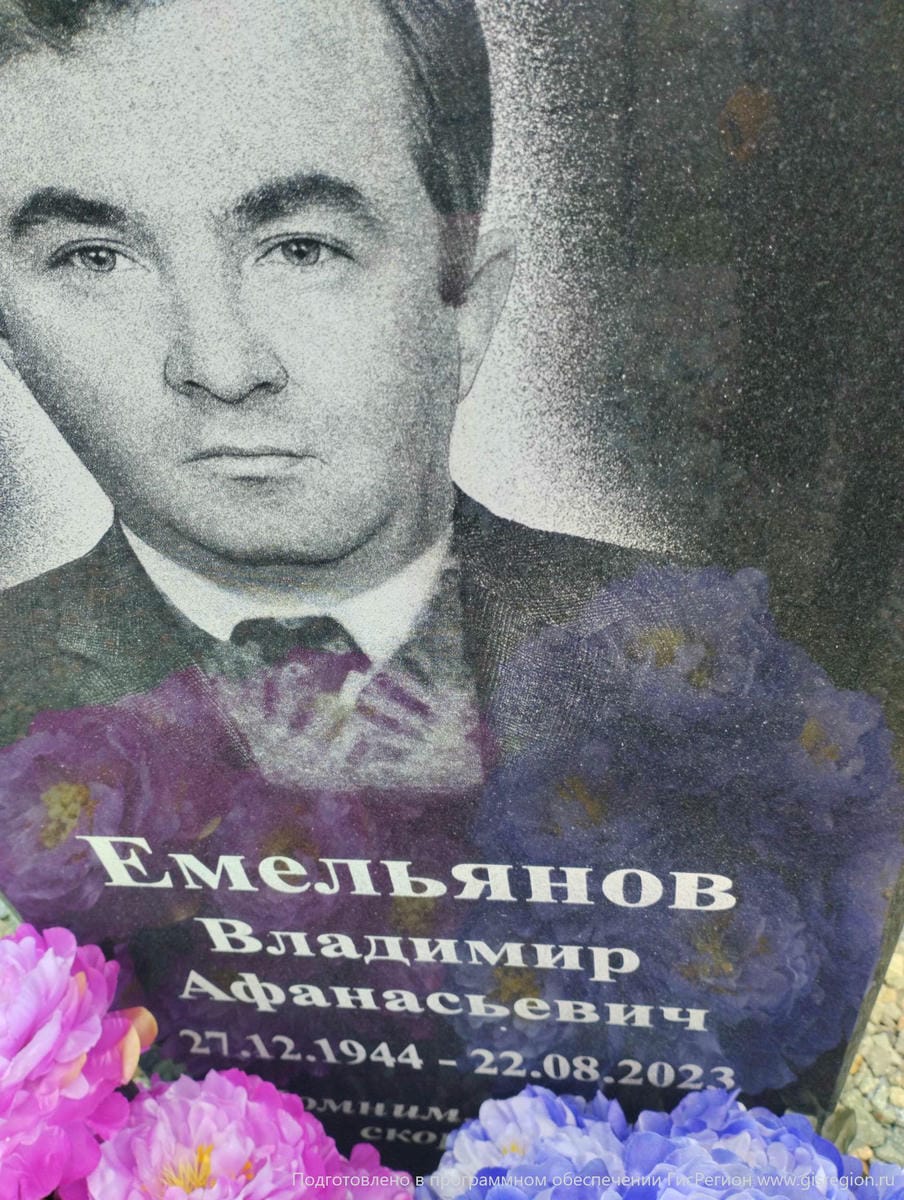 053e95b2-6652-4b9e-8674-49ed8dd67ee9 Емельянов Владимир Афанасьевич