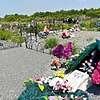 Аржевитин Сергей Петрович