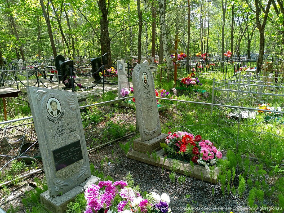 06b20764-4505-4c7c-b081-172b85e938e4 Капур Дмитрий Григорьевич