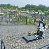 Байков Роман Евгеньевич