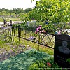 Щекалёв Андрей Юрьевич
