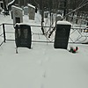 Тедекин Борис Сергеевич