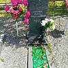 Аникина Раиса Дмитриевна