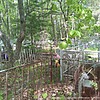 Мицкевич Марьян Станиславович