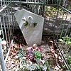 Дергалева Людмила Николаевна