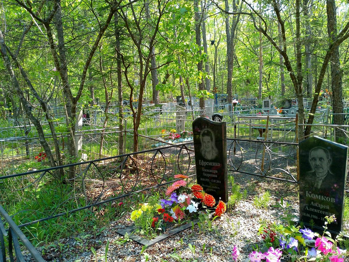 0847246a-9451-4ba9-a391-d0d20ac78198 Комков Андрей Алексеевич