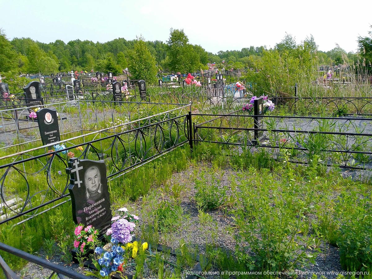 Парамонов Анатолий Владимирович