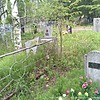 Данько Парасковья Андреевна