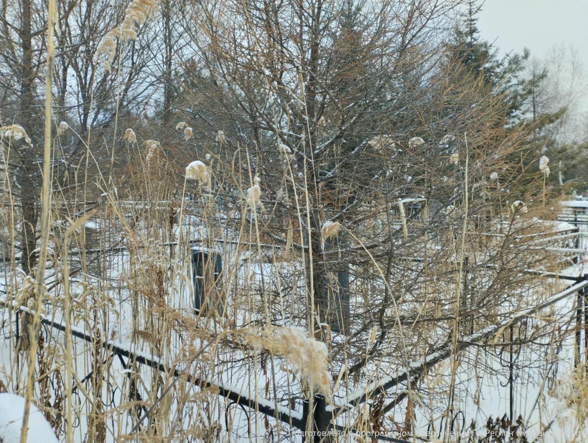 Сокуренко Мария Никитовна