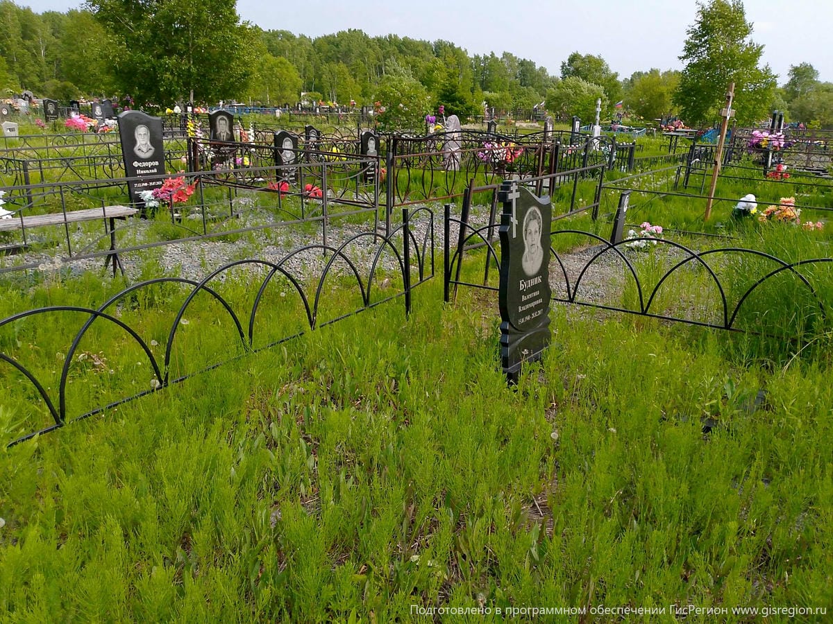 0b290ec1-ac9a-4484-b0f6-d3b3bd302c41 Будник Валентина Владимировна