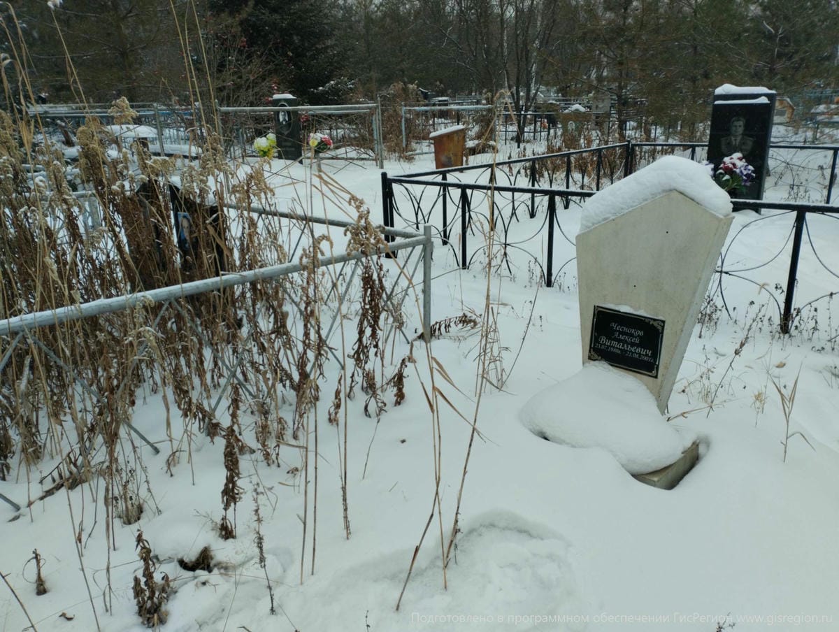 Чесноков Алексей Витальевич