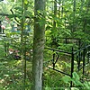 Лопаницына Елизавета Петровна