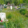 Васейко Геннадий Дмитриевич