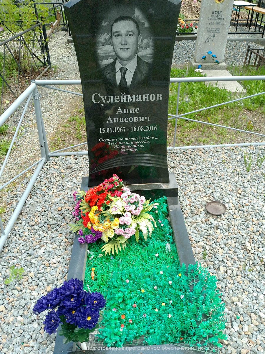 Сулейманов Анис Анасович
