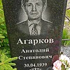 Агарков Анатолий Степанович