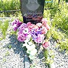 Моисенко Александр Анатольевич