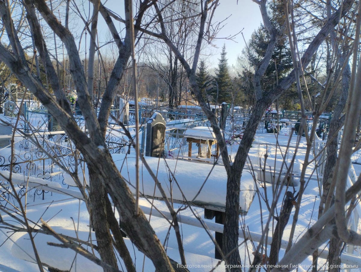 Гордиенко Ара Александровна