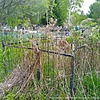 Енохов Игорь Станиславович
