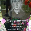 Черемисин Дмитрий Сергеевич