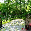 Михайлова Анна Константиновна