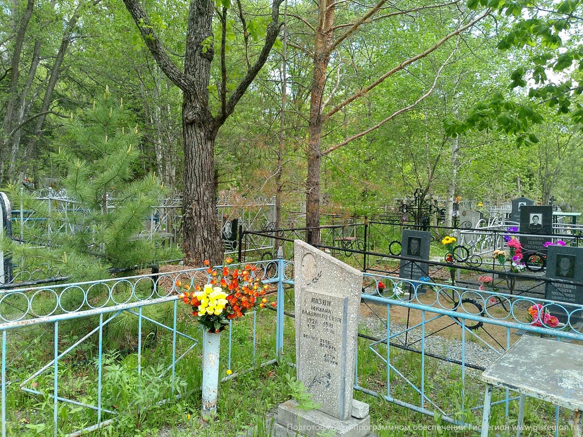 0f290983-a98d-44ff-8482-e2a412a71b7a Назин Михаил Владимирович