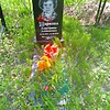 Жаркова Екатерина Акакиевна