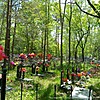 Бондарь Анна Васильевна