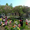 Сеничкина Ксения Кирилловна
