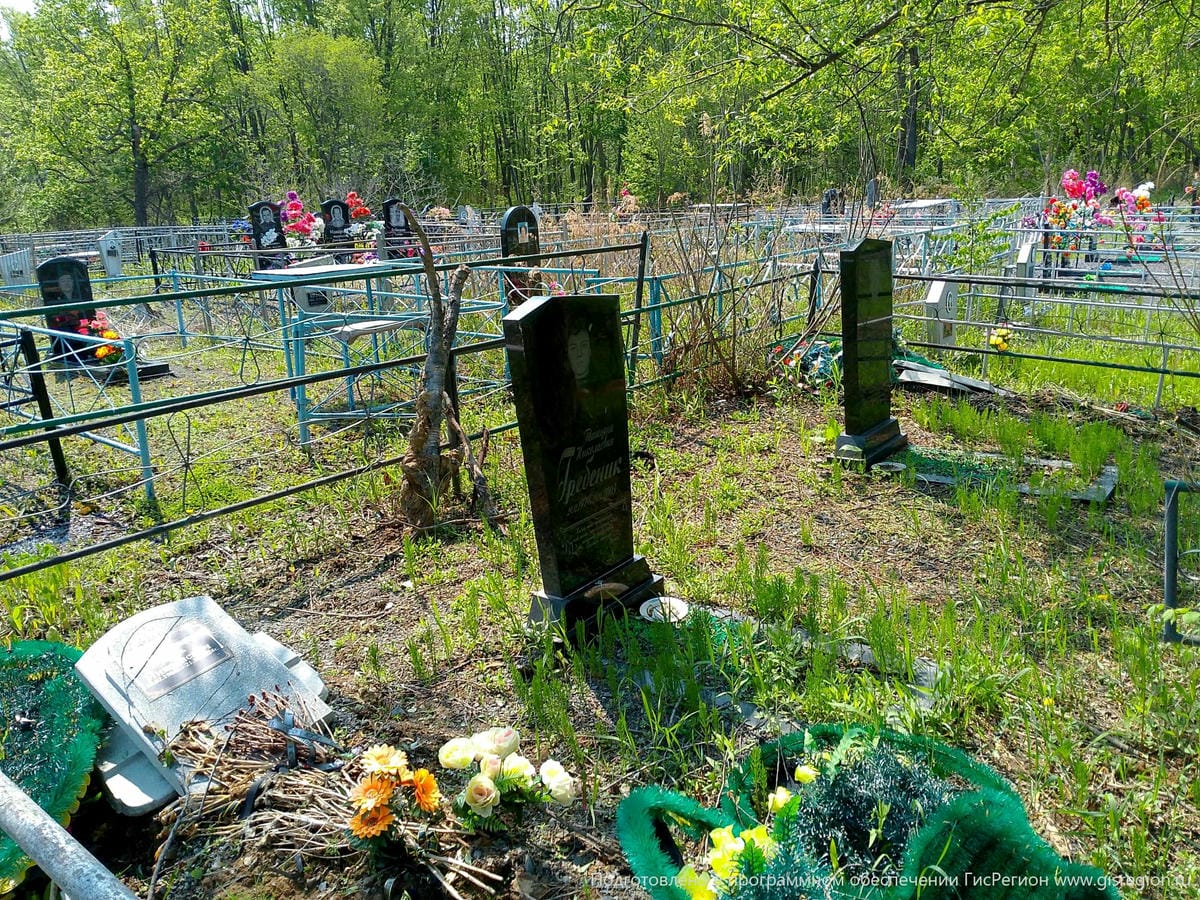 11167cd2-0c0c-43ae-a420-cd97efae2a5a Гребеник Валентина Вадимовна