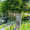Ляхова Нина Филипповна