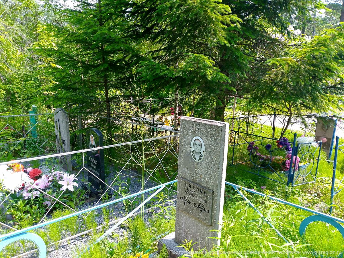 115df2d5-3d83-433a-b569-5b402b9903a5 Ляхова Нина Филипповна