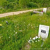 Просветова Анна Лукьяновна